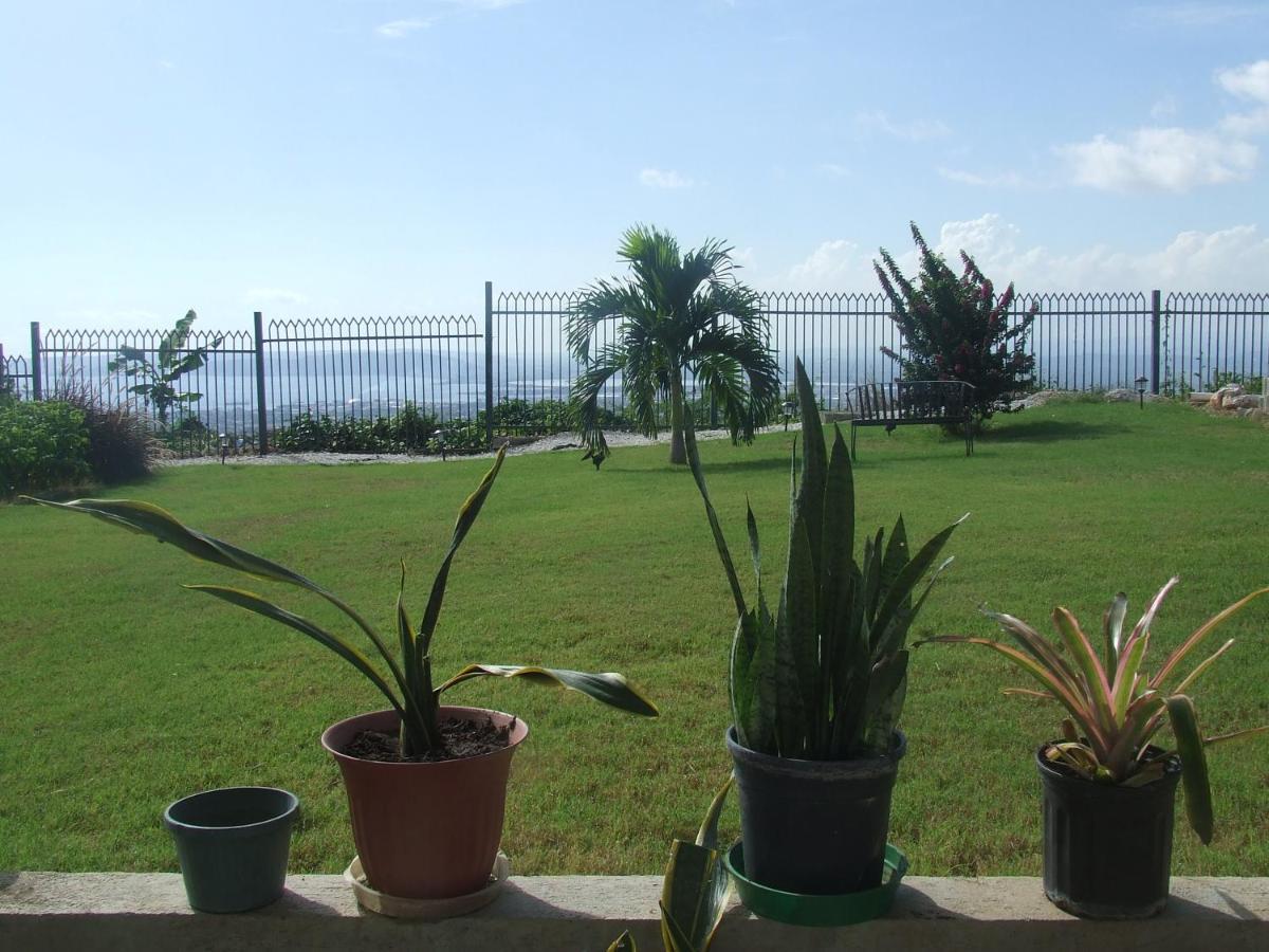 Bella Vista Villa Kingston Exterior foto